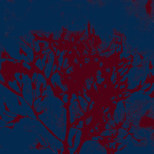 Abstracte botanische kunst. Organische vormen in donker kobaltblauw en warm bruin.