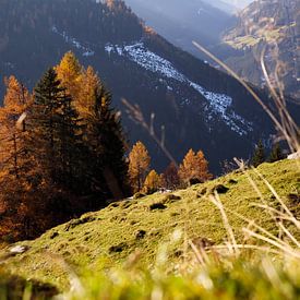 Les montagnes autrichiennes sur Ginkgo Fotografie