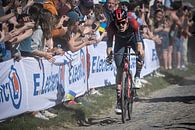 Dylan van Baarle gagne Paris - Roubaix par Leon van Bon Aperçu