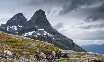 Berglandschap Noorwegen van Harry Punter