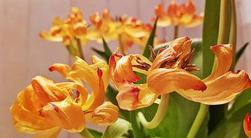 Tulpen geel van Wil Meijer-Kal