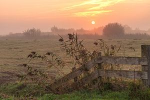 Good Morning Sunshine Hek met de zonsopkomst in de mist