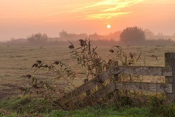 Good Morning Sunshine Fence with the sunrise in the mist by R Smallenbroek