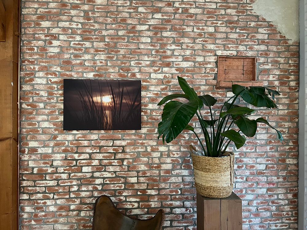 Ouddorp Strand, Die Niederlande  von Colin Bax 