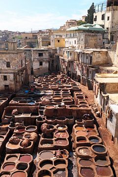 Leerlooierij in Fez in Marokko Afrika van Eye on You
