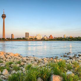 Düsseldorf evening panorama by Michael Valjak