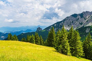 Vue sur les Alpes depuis le Breitenberg près de Pfronten