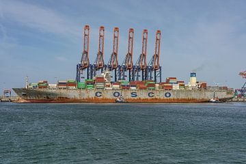 Cosco Shipping Faith containerschip. van Jaap van den Berg