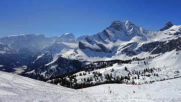Ortstock (2717 m) And Höchturm (2666m)