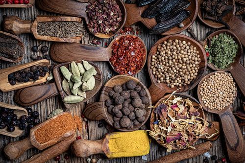 Selectie van exotische specerijen uit de hele wereld III