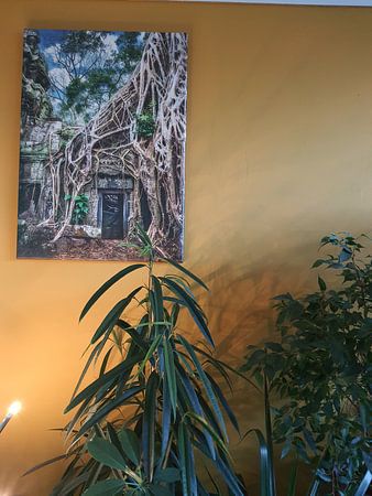 Tomb raider, Ta Prohm temple, Cambodia