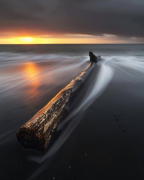Kuststilte: boom en golven van fernlichtsicht