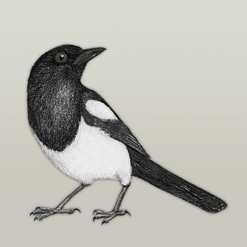 Ekster