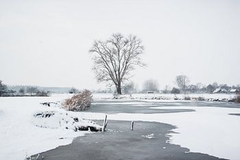 Winterlandschap
