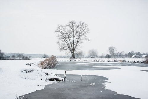 Winterlandschap von Christian Tanghe