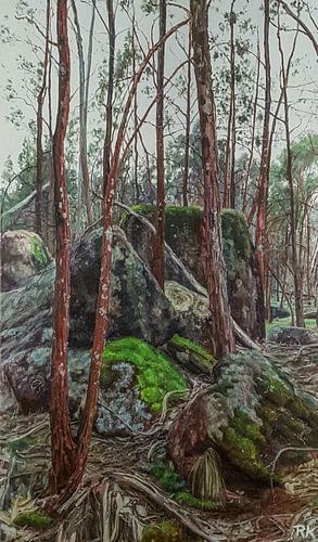 Aarde en de natuur landschap