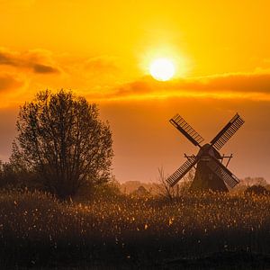 Zonsopkomst bij de Noordermolen van Henk Meijer Photography