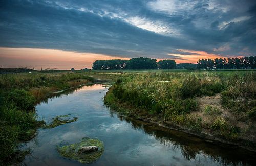Early morning meander by Ingeborg Ruyken