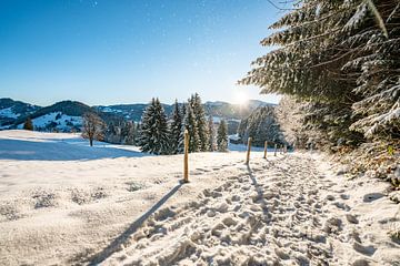 Winteruitzicht op de Hochgrat in de ochtend van Leo Schindzielorz