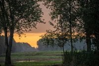 Ochtend licht 2