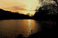 Sunset in the park