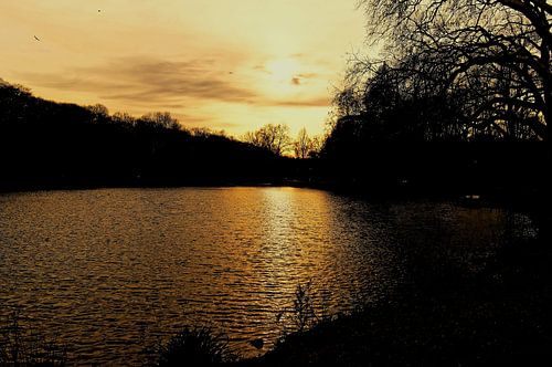 Sunset in the park