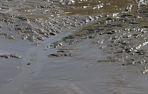 Marée basse &amp ; Marée haute