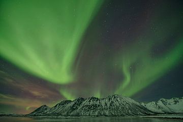 Aurora Borealis boven de Lofoten, Noorwegen van Tilly Meijer