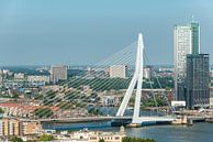 Erasmus bridge Rotterdam from the Euromast. by Brian Morgan thumbnail