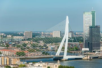 Erasmus bridge Rotterdam from the Euromast. by Brian Morgan