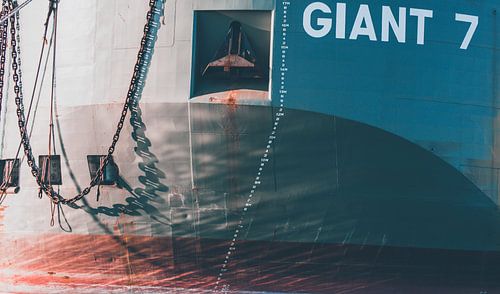De Giant 7 in Waalhaven Rotterdam