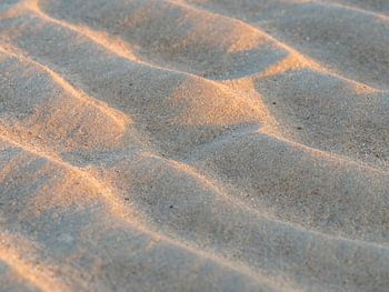 Sand structures on the beach