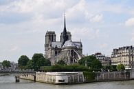 Notre Dame van Carina Diehl thumbnail
