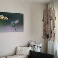 Photo de nos clients: Le colibri vole grâce à la bromélia par Henk Bogaard, sur toile