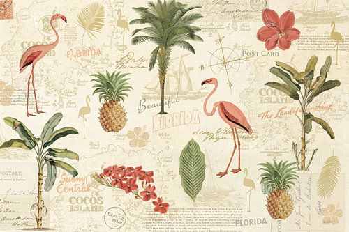 floridien VI, Katie Pertiet sur Wild Apple