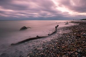 Drift wood on shore of the Baltic Sea sur Rico Ködder