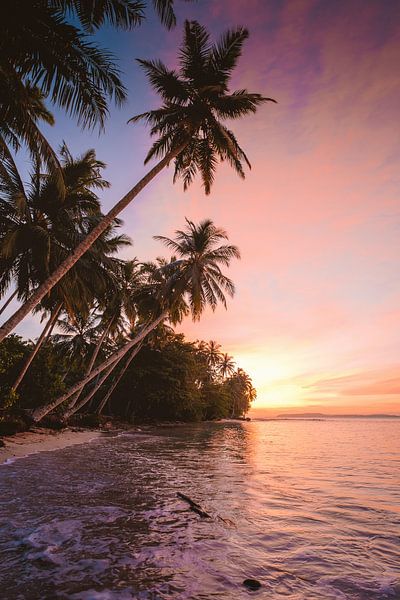 Mentawai eilanden van Andy Troy