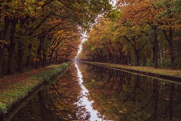 Herbsttunnel von Diana Kors
