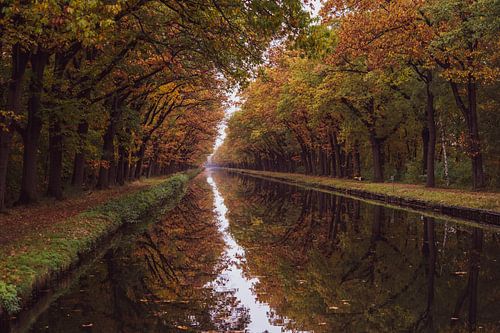 Tunnel d'automne