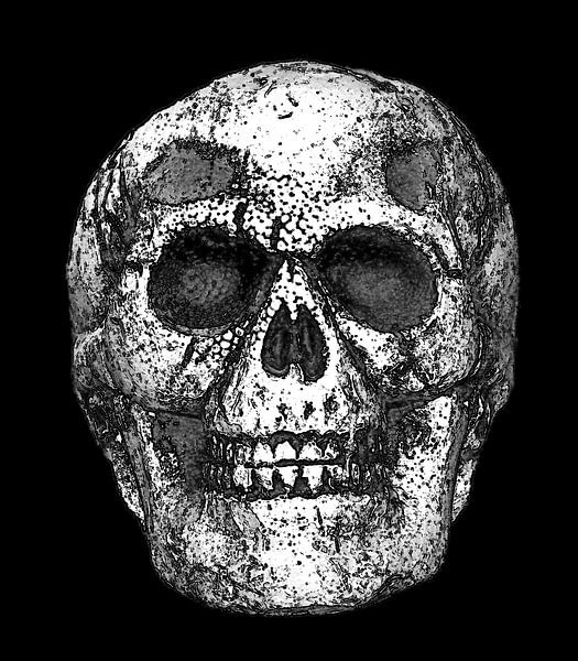 Schedel van Jose Lok