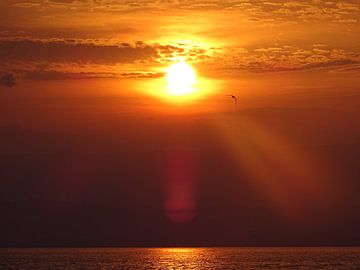 Sunset at lake of Geneva by Boy Kusters