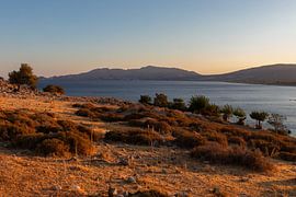 Charaki von Leticia Spruyt