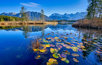 Barmsee