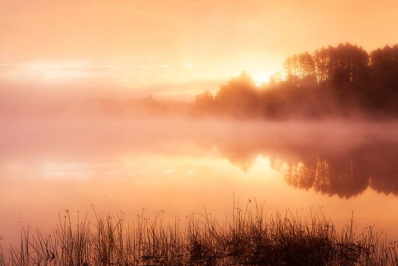 Sonnenaufgang in Vereinigte Staaten von Frank Peters