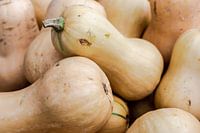 Butternut squash