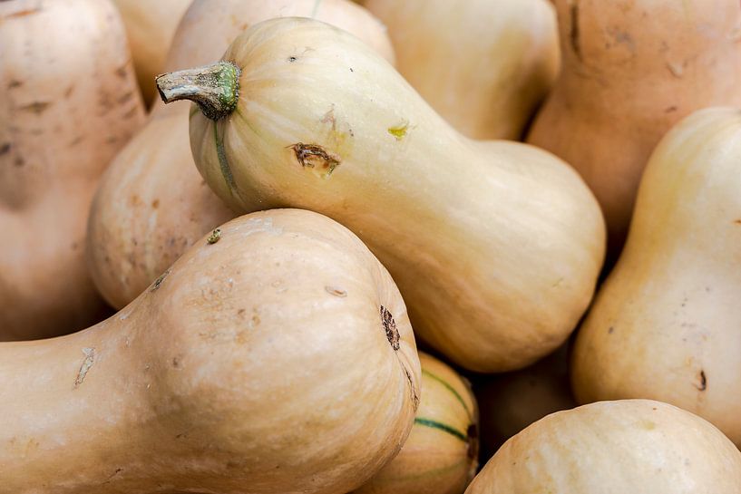 Butternut squash by Dieter Meyer