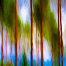 SMALAND NATURRESERVAT KROKSHULT ICM - the noisy ghosts von Bernd Hoyen