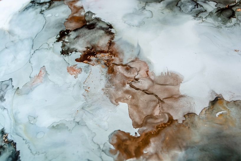AlcoholInk Malererei, Fluid Painting, Bronze, Gold, Schwarz, Weiß von GH Foto & Artdesign
