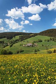 Schwarzwaldhaus im Glottertal, Schwarzwald von Markus Lange