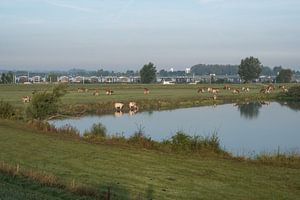 La Betuwe : nature, loisirs et technologie sur Moetwil en van Dijk - Fotografie